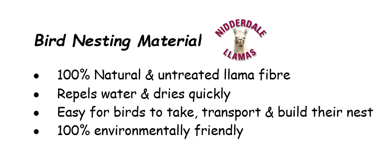 Bird Nest Feeder Square - Image 2