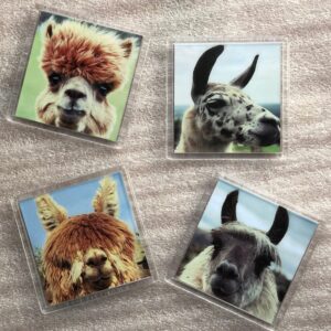 Nidderdale Llama and Alpaca Coasters (4 Pack)