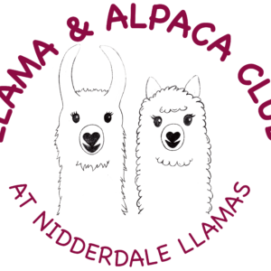 Llama & Alpaca Club Memberships