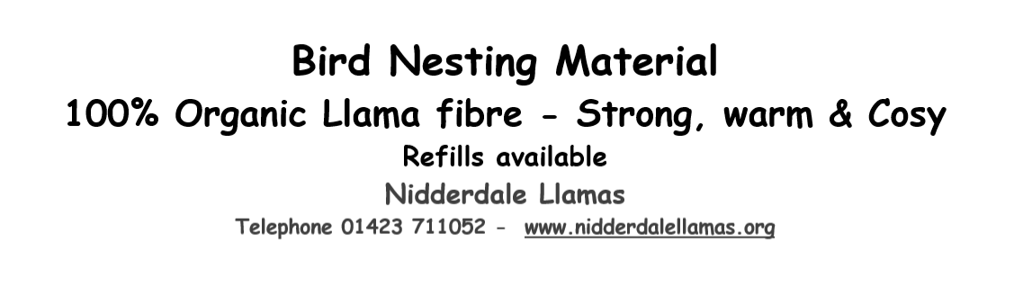Bird Nest Feeder Square - Image 4
