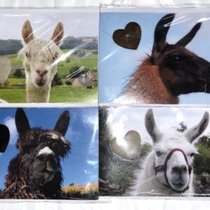 Stroke Llama and Alpaca Cards
