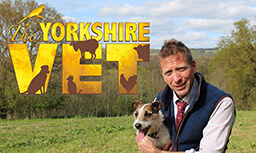 The Yorkshire Vet